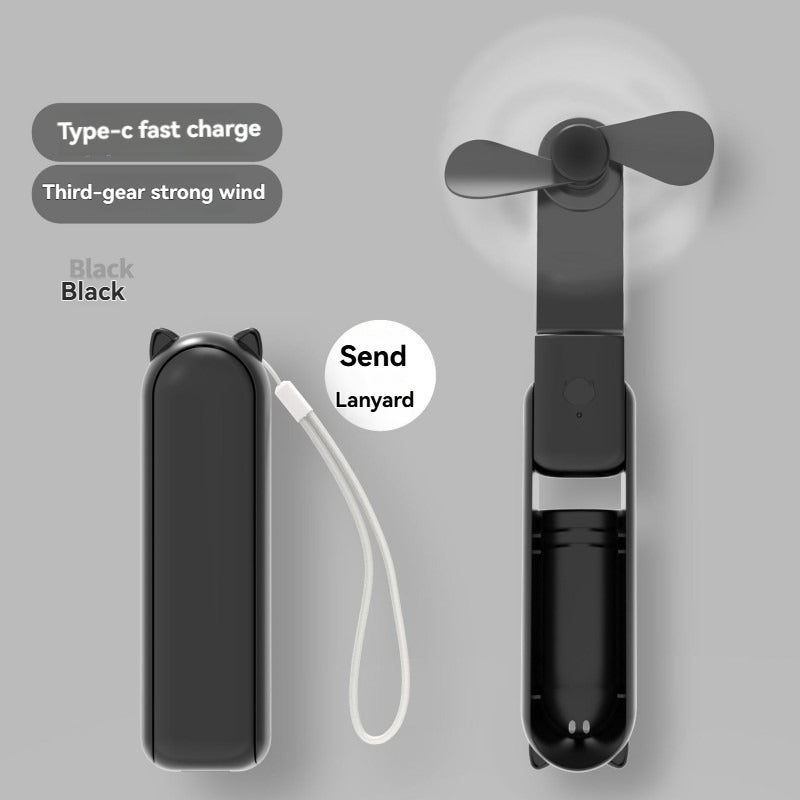 Small Hand-held Fan